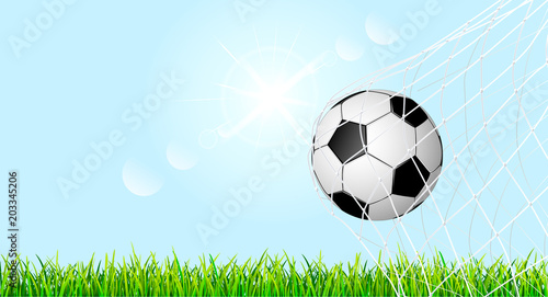 Soccer ball on a green grass lawn 1. The soccer ball is in the goal net