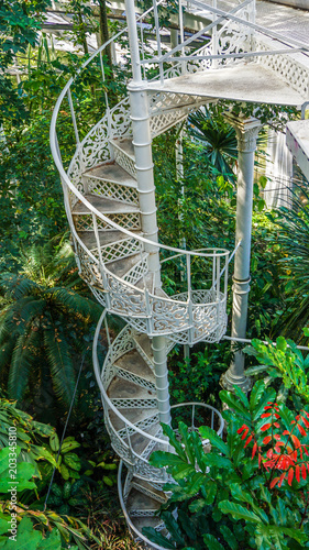 Photography Spiral staircase inside a glasshouse in Copenhagen botanical gardens, Denmark