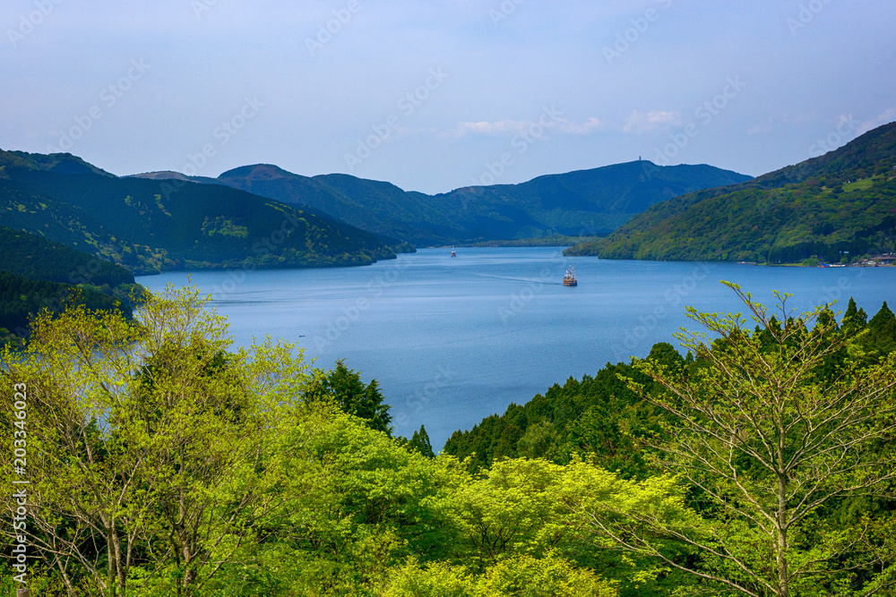 新緑の芦ノ湖