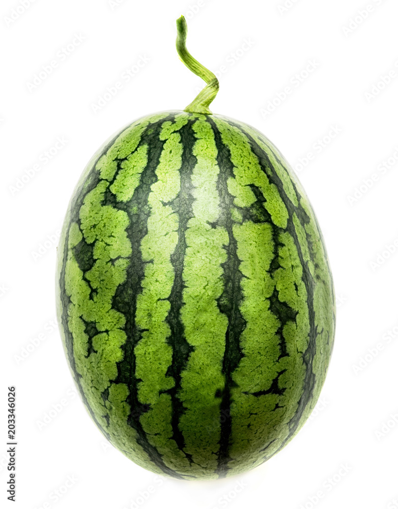 fresh whole watermelon isolated on white fresh whole watermelon isolated on white