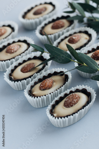 Composition of delicious praline sweets with almonds and green twigs on blue background
