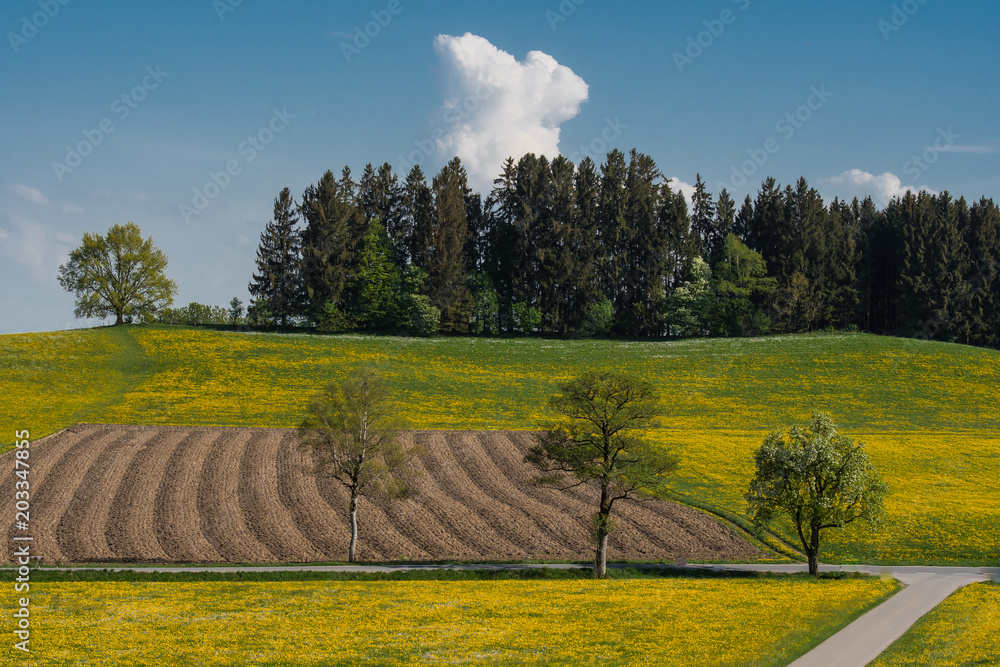 Landschaft mit Acker, Wald und Wiesen Stock-Foto | Adobe Stock