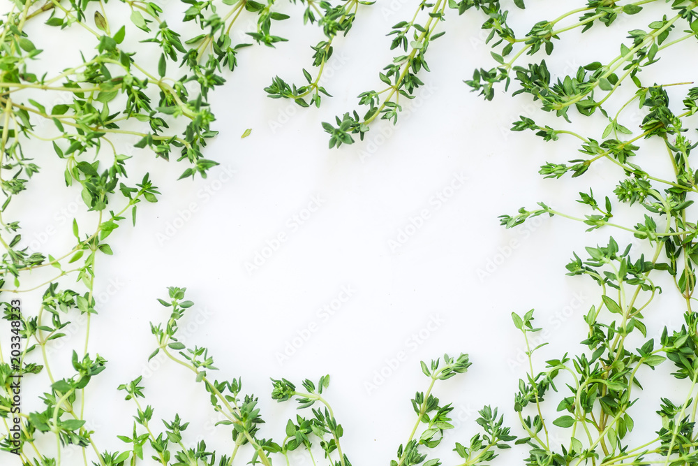 Overhead view of thyme leaves and twigs arranged in frame form with text space on white background Overhead view of thyme leaves and twigs arranged in frame form with text space on white background