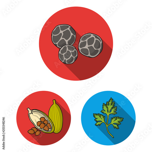Herb and spices flat icons in set collection for design.Different kinds of seasonings vector symbol stock web illustration.