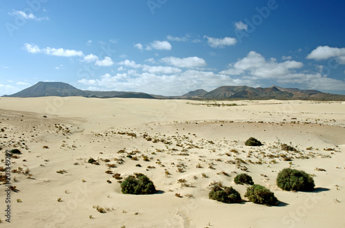 Desert of Fuerteventura in area Corallejo photo