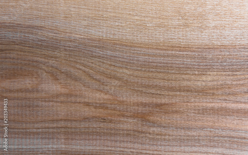 Natural Taiga birch wood grain texture pattern background