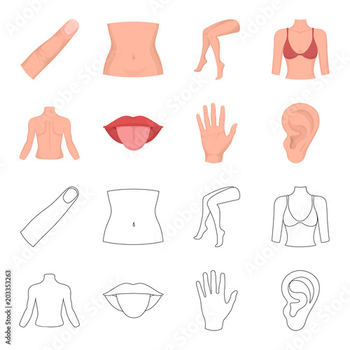 Back of the person, mouth, hand, ear. Part of the body set collection icons in cartoon,outline style vector symbol stock illustration web.