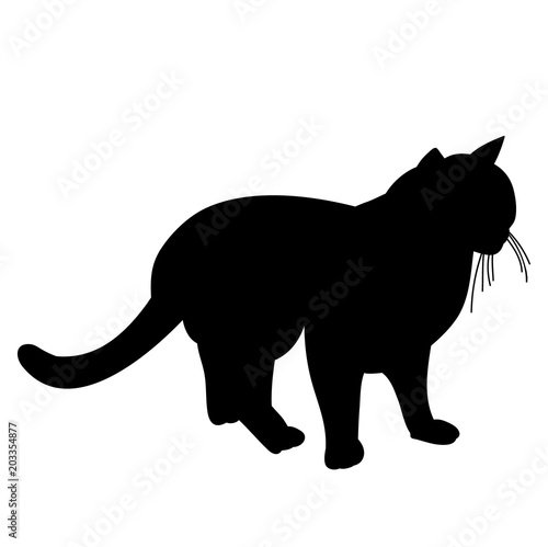 icon, silhouette cat © zolotons