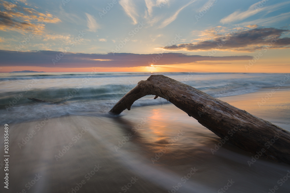 Fototapeta premium Tuscany Grosseto marina di alberese