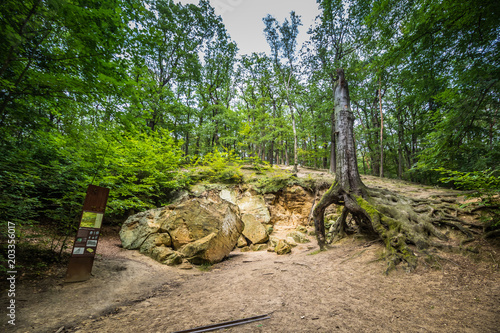 Park und Schloss Stern am Weißen Berg in Prag, Tschechische Republik photo