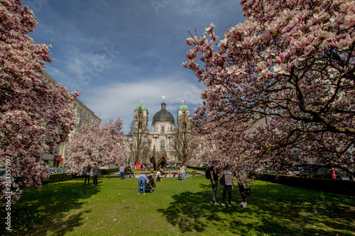 Frühlingserwachen auf dem Makartplatz in Salzburg, Österreich photo