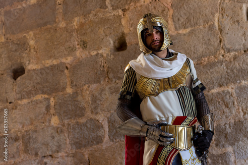 Templar soldier in a medieval castle