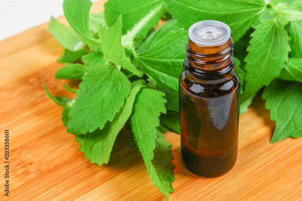 Leaves of fresh green nettle and a small bottle of medical nettle oil on a gray concrete table. Leaves of fresh green nettle and a small bottle of medical nettle oil on a gray concrete table.