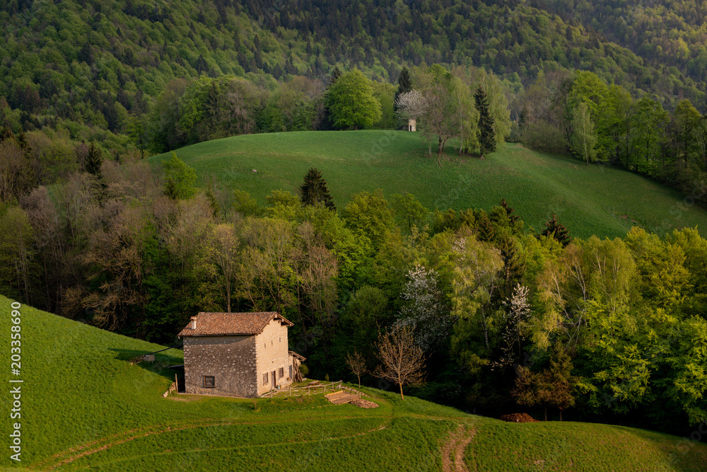 farmstead