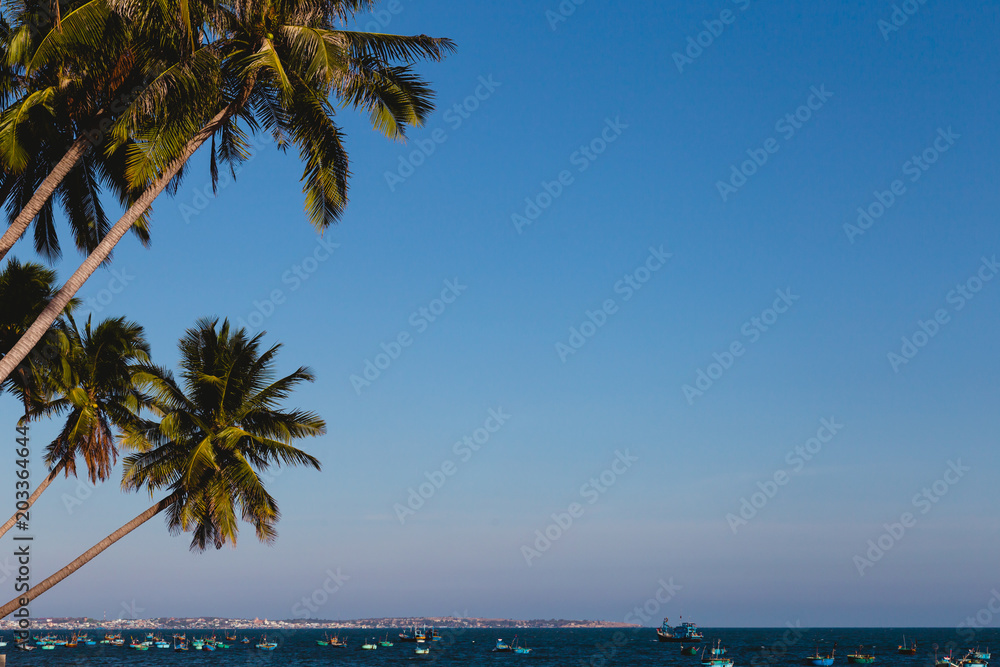 Naklejka premium Coconut trees stretch into the sea
