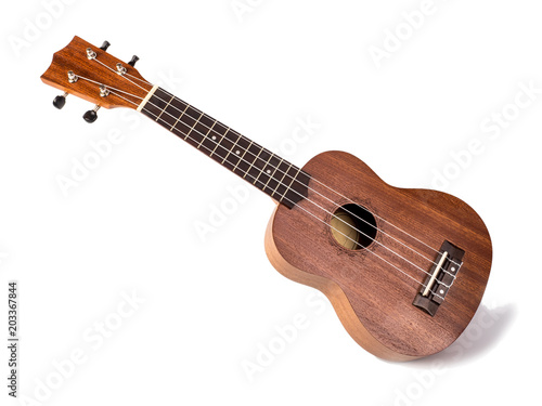 The brown ukulele on the white background