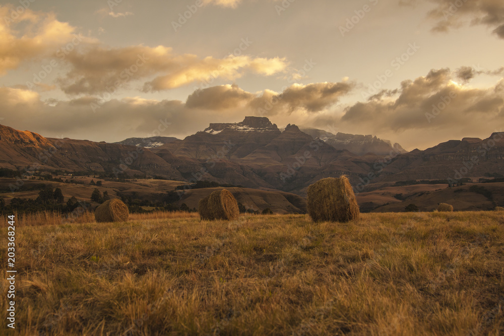Obraz premium Hay Bales, Round, Early Morning, Drakensberg, KZN