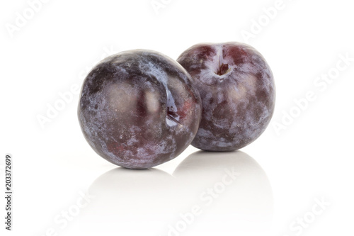 Two red blue plums isolated on white background round whole fresh juicy fruit. photo