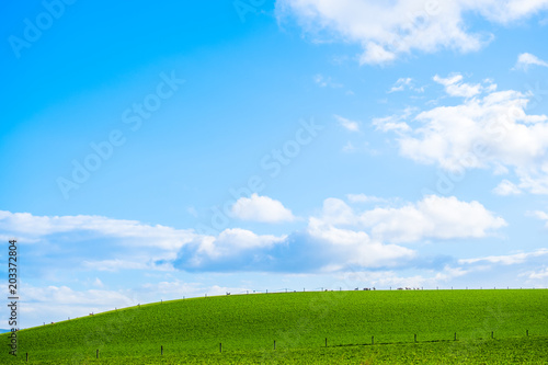Stunning scene Cloudy and blue sky with green grassland. New Zealand agriculture in the rural area. © Klanarong Chitmung