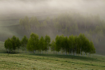 Fotobehang Heuvel Mistige lente in Apuseni-gebergte  © alexionutcoman