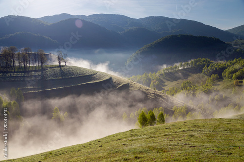 Spring foggy morning with trees on hills in Apuseni Mountains, Romania photo