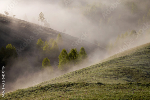 Spring foggy morning with trees on hills in Apuseni Mountains, Romania photo