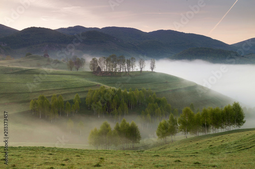 Spring foggy morning with trees on hills in Apuseni Mountains, Romania photo