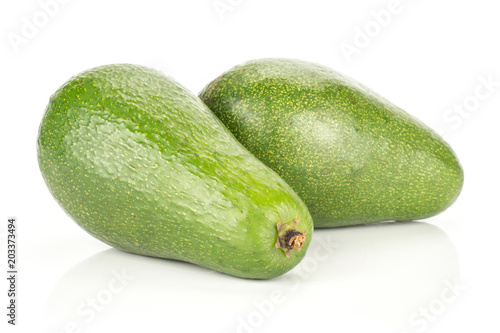 Two green smooth avocado isolated on white background ripe shiny bacon variety. photo