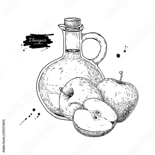 Apple vinegar vector drawing.  Hand drawn illustration. Glass bo