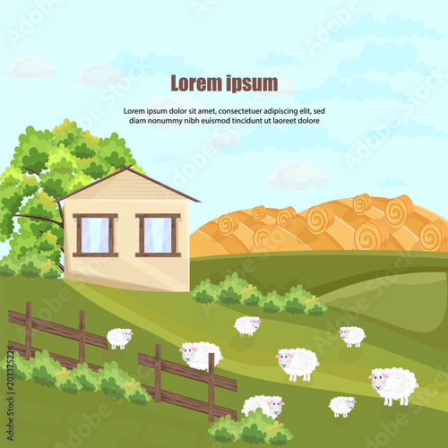 Farm house Vector. Nature beautiful green yard backgrounds