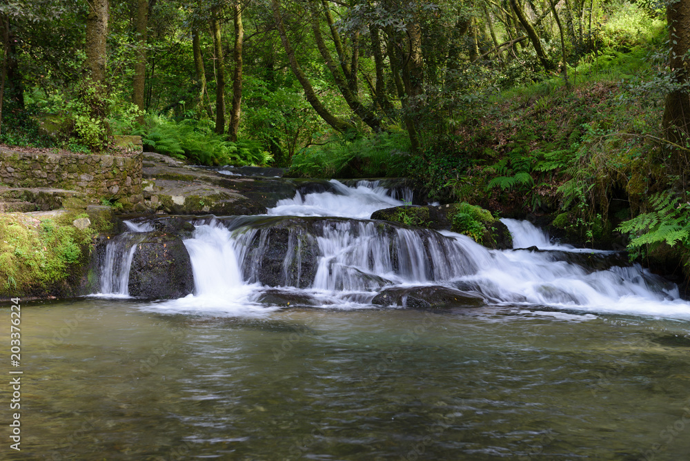 waterfall on a forest river