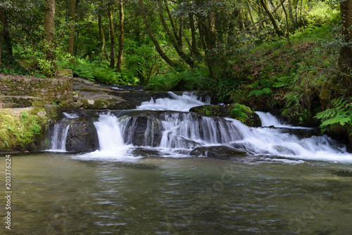 Fototapeta Naklejka Na Ścianę i Meble -  waterfall on a forest river