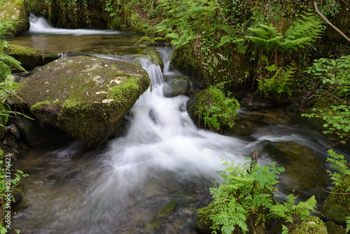 waterfall on a forest river