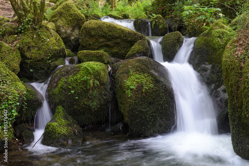 waterfall on a forest river