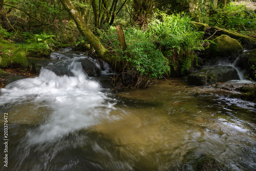 waterfall on a forest river