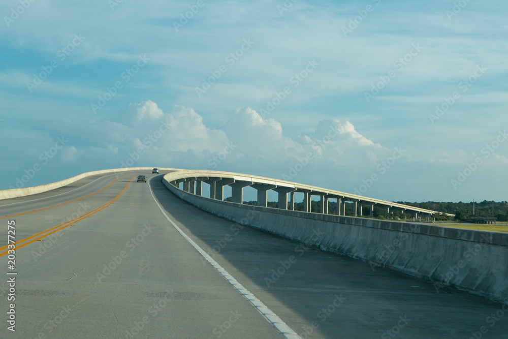 Bridge through swamps