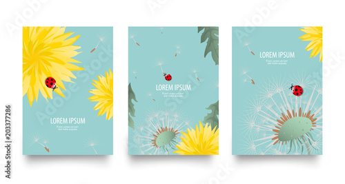 Fototapeta Naklejka Na Ścianę i Meble -  Floral vector set of posters, flyers or cards with dandelions. Vintage retro templates design. Spring or summer bright yellow flowers, seed heads and cute ladybugs on blue sky background