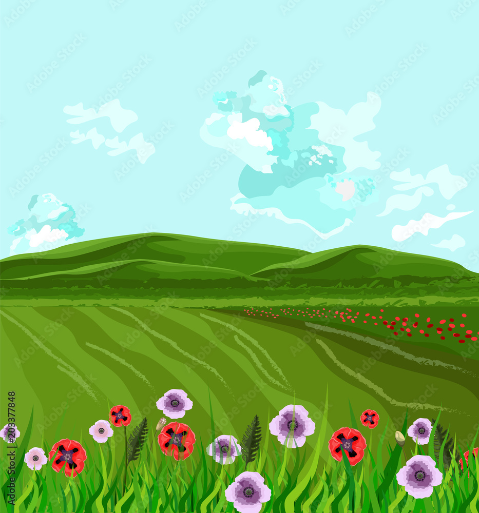 Green fields Vector. Spring background decor