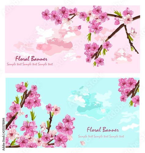 Cherry flowers cards Vector. Spring layer background decors