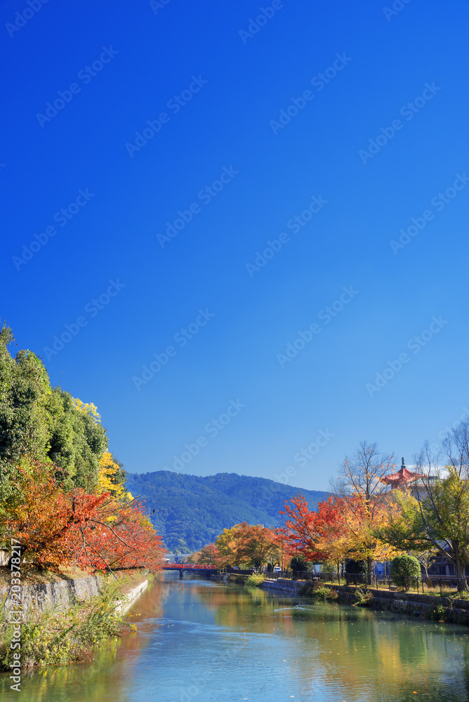 Fototapeta premium 京都 岡崎 秋の琵琶湖疏水