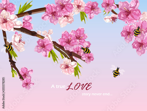 Cherry flowers Vector. Spring card background decors