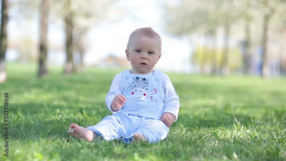 Cute toddler baby boy, playing in cherry blossom garden. Child with spring flowers in fruit orchard, cherry flower garden Cute toddler baby boy, playing in cherry blossom garden. Child with spring flowers in fruit orchard, cherry flower garden