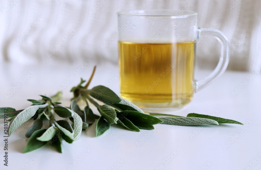 Sage tea and sage leaves. Infusion made from sage leaves. Medicinal herb Salvia officinalis. The concept of healthy nutrition. Sage tea and sage leaves. Infusion made from sage leaves. Medicinal herb Salvia officinalis. The concept of healthy nutrition.