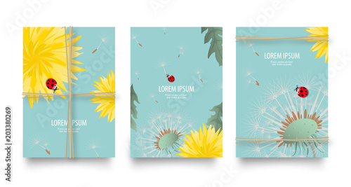 Fototapeta Naklejka Na Ścianę i Meble -  Floral vector set of posters, flyers or cards with dandelions and rope. Vintage retro templates design. Spring or summer bright yellow flowers, seed heads and cute ladybugs on blue sky background
