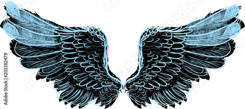 sketches of blue and black isolated wings