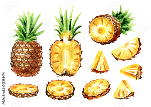 Pineapple elements set. Watercolor hand drawn illustration, isolated on white background