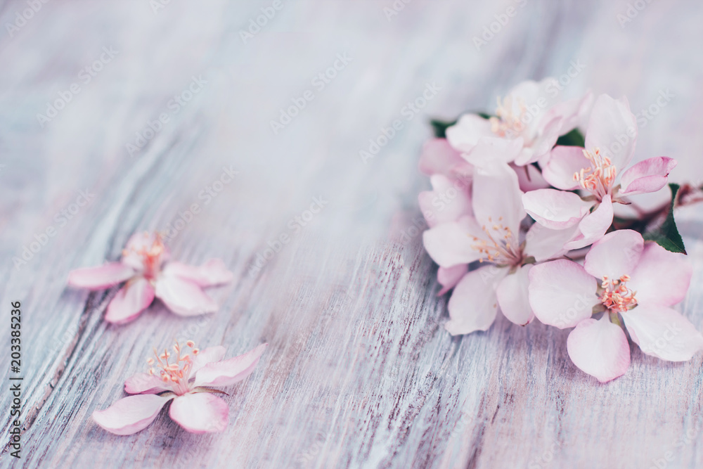 Beautiful gentle background with blooming flowers in pastel colors in rustic style Beautiful gentle background with blooming flowers in pastel colors in rustic style
