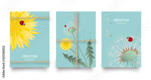 Fototapeta Naklejka Na Ścianę i Meble -  Spring or summer wild florals gift vector set with dandelions and rope. Vintage retro templates flyers or card design. Bright yellow flowers, seed heads and cute ladybugs on blue sky background