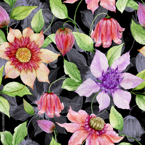 Beautiful clematis flowers on climbing twigs against black background. Seamle...