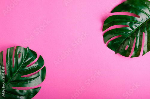 Tropical leaves monstera on pink background. Flat lay, top view. Copy space